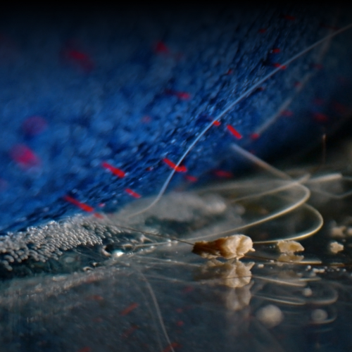 DYSON WR03-A Clean+Wash Hygiene Prussian Blue/Copper