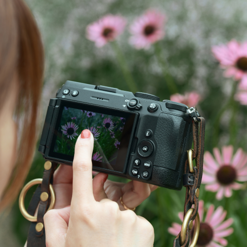 NIKON Z5IIC Body